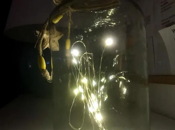 Il Sassetto Casa vacanze